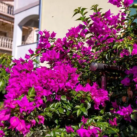 Apartament Dreamy Kvarner - Close To The *